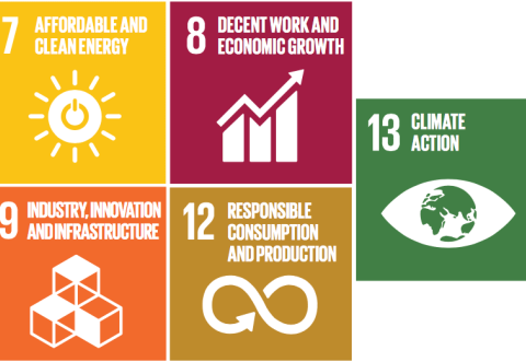 sustainable development goals